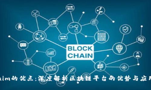 Tokenim的优点：深度解析区块链平台的优势与应用前景